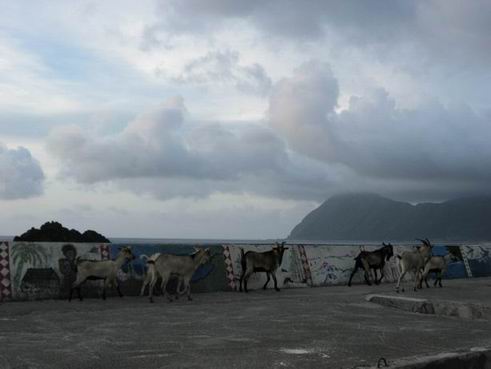 �s�Ϧb�o��i�O��B�ö]���A�M���ɥi�n�p�ߧO���W�F�C