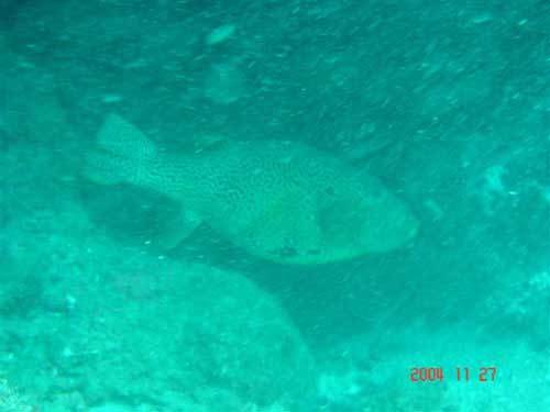 ���I�c��  �����̪��� ���y�֨���j��...