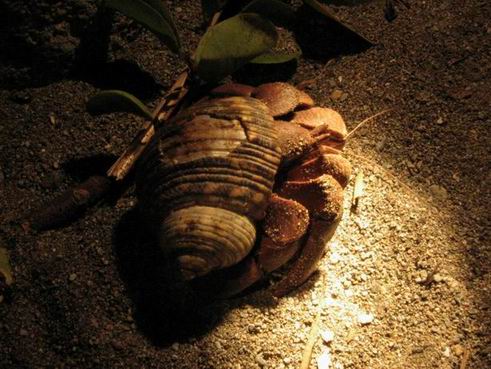 �]���[��A�ݨ��W�j�H�~��