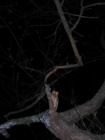 ��즡G�u�A�̳o�ǤH�u�СA�쩳�ݰ��F�S���I�v