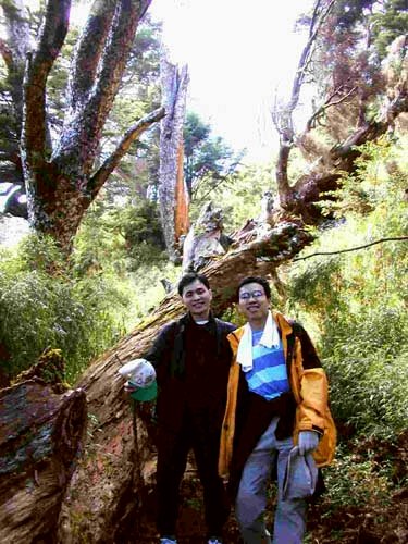 ���ͩM�z��b�W�s�~�����j��U�X��