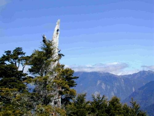 �w���շs�s�\��