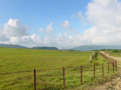 �A�i�H�Ǥ��@���i�v�v�����ڡA���ݤѪŪ����L�ҡA�A�n�n��@����a�u�@�u�A�⤣�}�ߪ��Ƴ��Ͱ��A�X�ۭ��٥������u�`.........