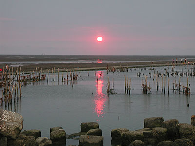 ��M�ڭ̤��ѻP�������i�Ӧ��t�A
��ۿǺ޲רs����L�F�A
�֨�! ���������᪺��h�O��! 
����A�H�СA�L�ǯu�O���t�A
�N�����\��W�������H�J��......