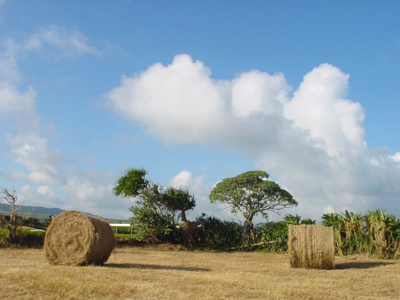 �a�ϤW���ǰϰ�O�A�X�W�ۥX�������ϡA�@�ӤH����B�@�ӤH�����B�w�R����H�ɩM�j�۹ﭱ���ŴȤl�Y���A�b�󨤪��p�u�c�R�F��i���H���A�@�i�H���A�@�i�H���ڦۤv�C