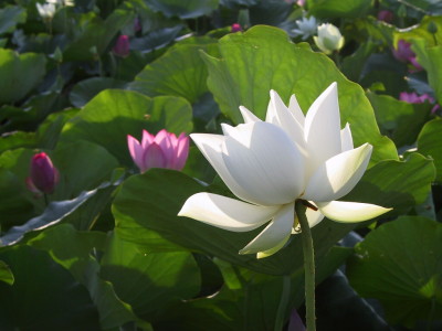 ���᪺���A�O�H��߮��ءA�|�����۸T�a�h�祦�X�i�C