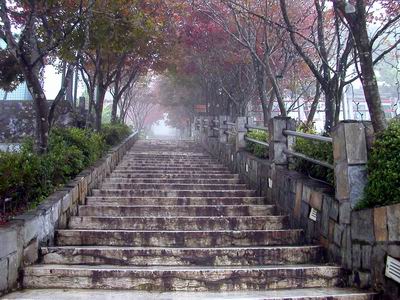 �Ѯ��Ƶ۲ӲӪ��B���A����b������ؾ𸭡A����b�ӥ��s�۶��A�ֺ����F�����R�Ѧ��Ӱ_�A�a�g���d�U�̴γ̬����^�СC