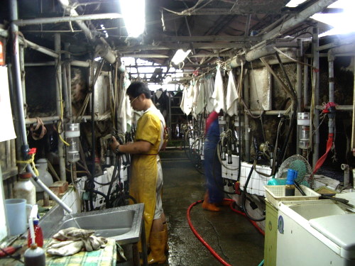 �{�b�����A�����L�{�w�g�۷��ֳt�A���O�۰ʤƪ��覡�A�N���ž��˨�Ť���������A�N�i�H�o�I
�����@��184�Y���k���Ť��A�@�Ѫ��������q���@�d�h����I