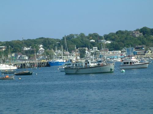 �o�Ӵ�f(Glousceter)�N�O�q�v�u�������ɡv���A�����Q�v�⤭�W����X��ɳ����_�I�C�ݨӤ@���ԩM�w��C