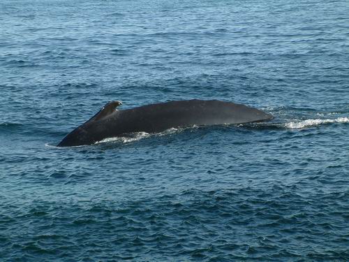 �ڭ̳o���Z���B���A�H���̳��ܽ��y�A���X���پa�o�n��A�u�L�}�I