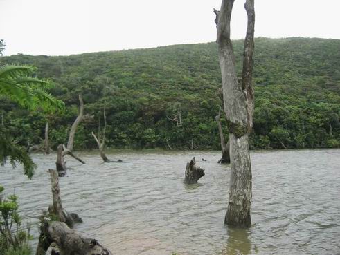 �o�ӬO�Ѧ��A���Ӧn���A���@�q�n�k÷�C�P��~�M�٦���p�j��۪��Ȫ��I�ӼF�`�F�I