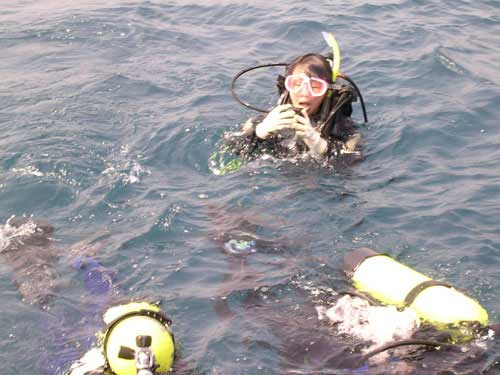 �O��ӧ�..���٨S�l�����z..