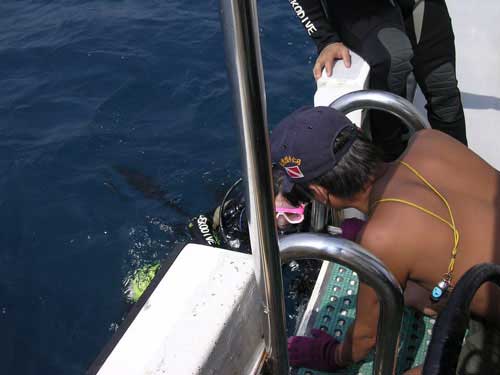 ���v �нm ��� ....�o�@�s�泾�o��[�S�W��..