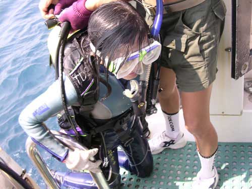 �Y�ɨS���R�����P..�i�]�O�����^��..